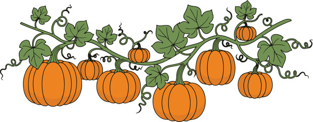 Decorative horizontal vector vine border featuring vibrant orange pumpkins and green leaves.