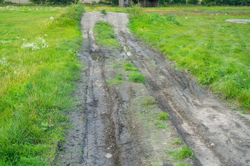 muddy dirt road with deep tire tracks surrounded by tall green grass and weeds, concept of off roading, rural area, bad roads, agriculture, transportation challenges