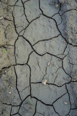 vertical close up of dried cracked gray and brown mud or clay earth surface, concept of drought, arid climate, geology, poor soil, natural texture