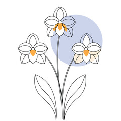 Naklejka premium Three delicate orchids arranged vertically in a floral illustration