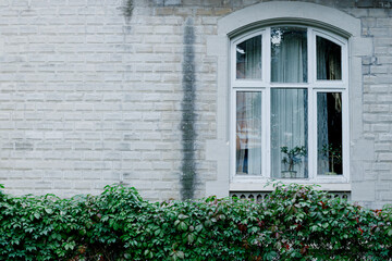 vintage aesthetic clean cottage core white wall brick background and window frame external side in garden building pattern
