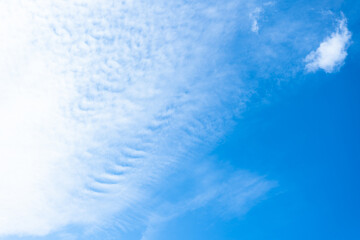 Obraz premium 青空と薄い白い雲