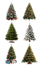 Obraz premium PNG Christmas tree element set, transparent background