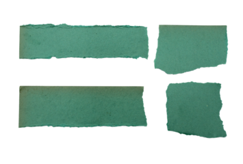 Torn green paper scraps with transparent background