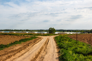 Rural dirt road forks between plowed and grassy fields, leading towards distant greenhouses under a cloudy sky