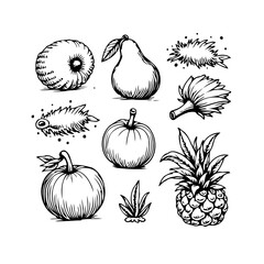 Hand drawn orchard fresh fruit medley arrangement featuring vintage botanical illustration style