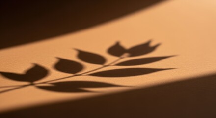 Delicate Leaf Shadow Etched in Warm Golden Light Across a Diagonal Plane.