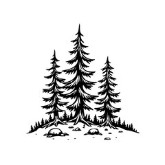 Obraz premium Monochrome evergreens drawing evokes feelings of wilderness adventure and serene nature