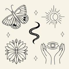 thin line icons butterfly snake cocoon and flower clipart set.svg