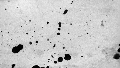 Dust, particles, stains, and hair on a transparent background, perfect for realistic overlay textures and photo effects.