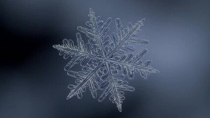 A close-up, highly detailed macro photograph of a single, intricate ice crystal snowflake with hexagonal symmetry against a dark, cool-toned background. - Powered by Adobe
