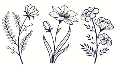 vector illustration of a flower