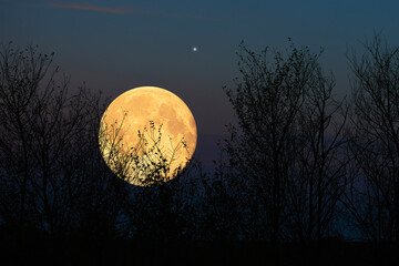 Full Moon, stars, planets and landscape scenery silhouettes.