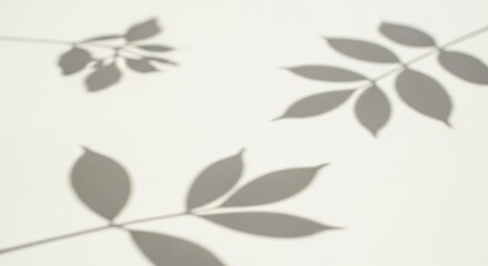 Soft Botanical Leaf Shadows on Textured White Wall, Minimalist Organic Light Play, Serene Natural Background