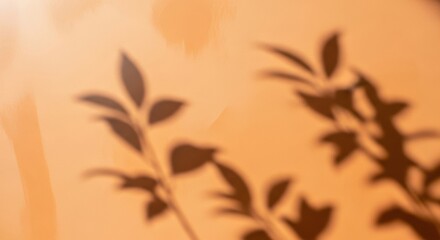 Soft, diffused shadows of delicate plant leaves cast on a warm, textured orange wall.