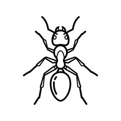 Minimalist ant illustration simple insect line art macro detail cute small creature vector