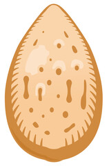 Simple almond shell icon vector isolated on white, symbol of natural food and organic nut industry.