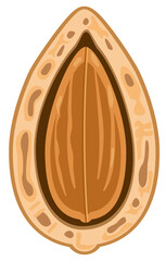 Vector icon of half-open almond showing nut inside, perfect for organic snack branding and healthy product designs.