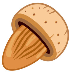 Vector icon of almond kernels showing smooth surface and organic texture used for food branding and nutrition design.