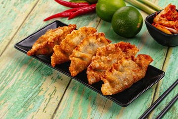 Asian fried stuffed dumplings gyoza