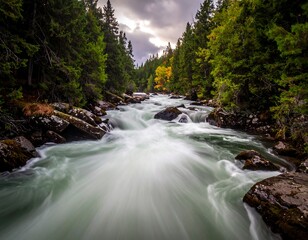 Obraz premium Flowing river captured in a lush forest setting