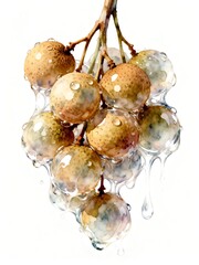 Surreal Fruits Series : A delicious looking healthy bunch of ripe yellowish-brown longans on a white background suitable for graphic design and decoration 004