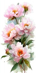 Fototapeta premium Watercolor Painting of Pale Pink Peonies Bouquet