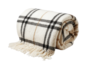 PNG Cozy plaid blanket rolled up.