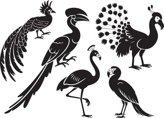 Elegant exotic birds silhouette collection for design