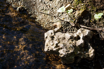 Textured rock submerged in clear shallow stream water with sun reflections. Rough stone surface contrasts with flowing liquid. Natural outdoor environment with earthy tones and greenery