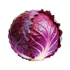red cabbage on white background