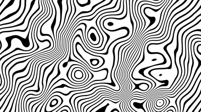 Hypnotic Black and White Abstract Lines Morphing in a Seamless Psychedelic Wave Animation. Stock Footage