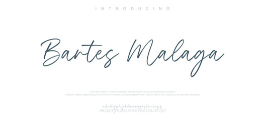 Hand drawn vector alphabet. Modern monoline signature script font. Elegant Signature Font. Best Alphabet Beautiful Calligraphy Signature Font lettering handwritten