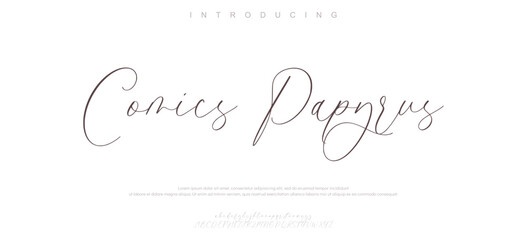 Hand drawn vector alphabet. Modern signature script font. Elegant Signature Font. Best Alphabet Beautiful Calligraphy Signature Font