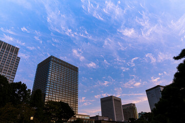 高層ビルと夕焼け空と雲