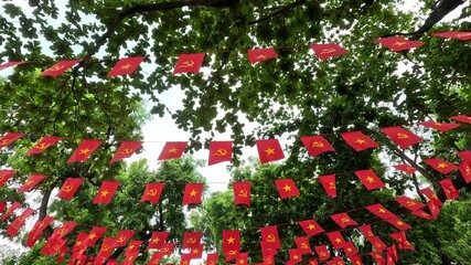Walking under rows of Vietnamese national and communist flags hanging between trees on a sunny day.
