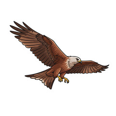 Obraz premium Brown Eagle in Flight With Outstretched Wings, Power and Focus for Wildlife and Nature Themes