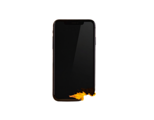 Fallen Leaves with Smartphone PNG