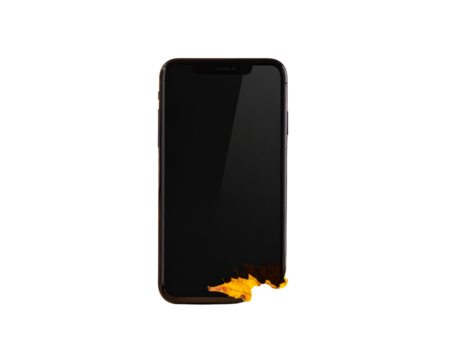 Fallen Leaves with Smartphone PNG