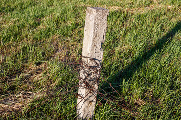 Fototapeta premium Old concrete fence post wrapped with rusty barbed wire in a green grassy field on a sunny day