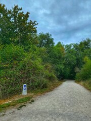 Am Camino de Santiago