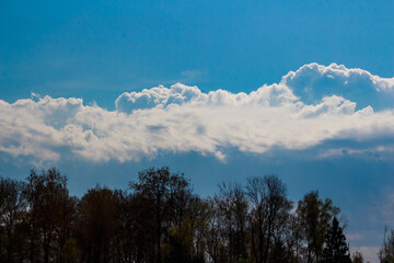 Massive white cumulus clouds dominate a vibrant blue sky above a dark forest line, creating a powerful natural contrast and expansive atmospheric view