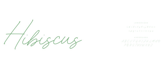 calligraphy alphabet capital lettering a to z font family