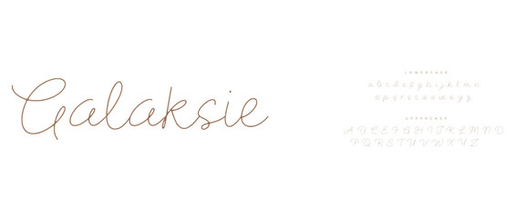 modern stylish typography letter logo design