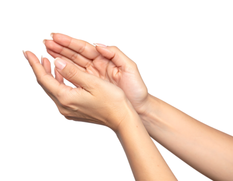 Two open human hands held together in a cupping gesture isolated on transparent background