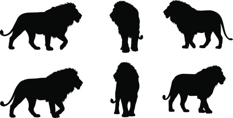 Lion silhouette collection, wild animal vector, majestic predator artwork, safari wildlife illustration, jungle king design, African big cat graphic