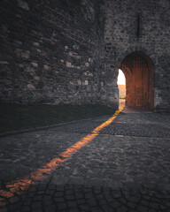 Fototapete bei efototapeten.de bestellen   