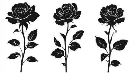 Silhouettes of three roses on white background.  Possible use  floral design