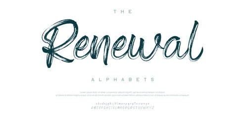 signature Font Calligraphy Logotype Script Brush Font Type Font lettering handwritten