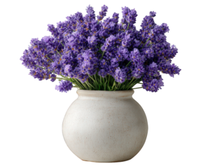 Calming purple lavender flower bunch in rustic vase. An isolated plant for natural home decor, creating serene and relaxing atmosphere. Perfect for wellness concepts